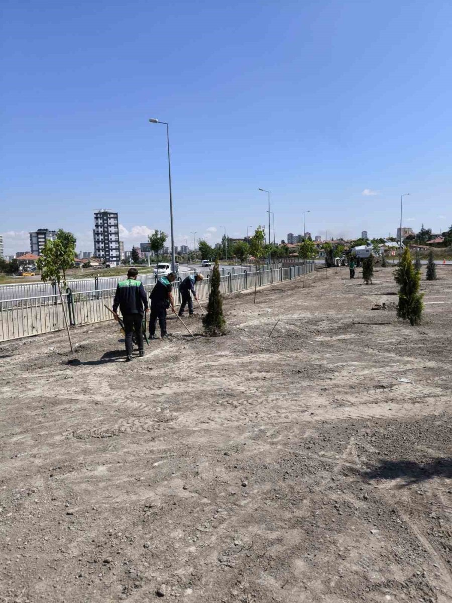 30 Bin Metrekarelik Alan Yeşillendiriliyor