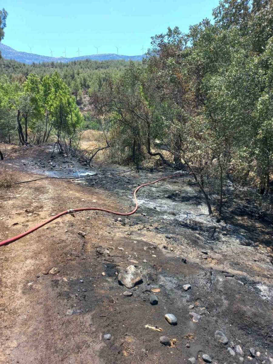 Mersin’de Ormanlık Alanda Çıkan Yangın Kontrol Altına Alındı