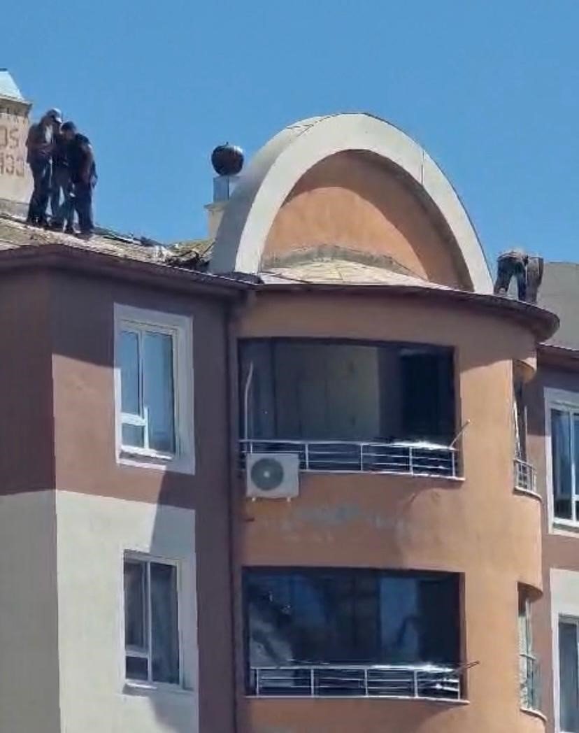 10. Katta Ölümle Dans