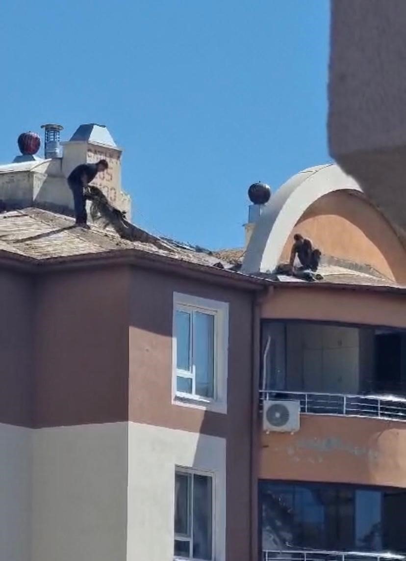 10. Katta Ölümle Dans