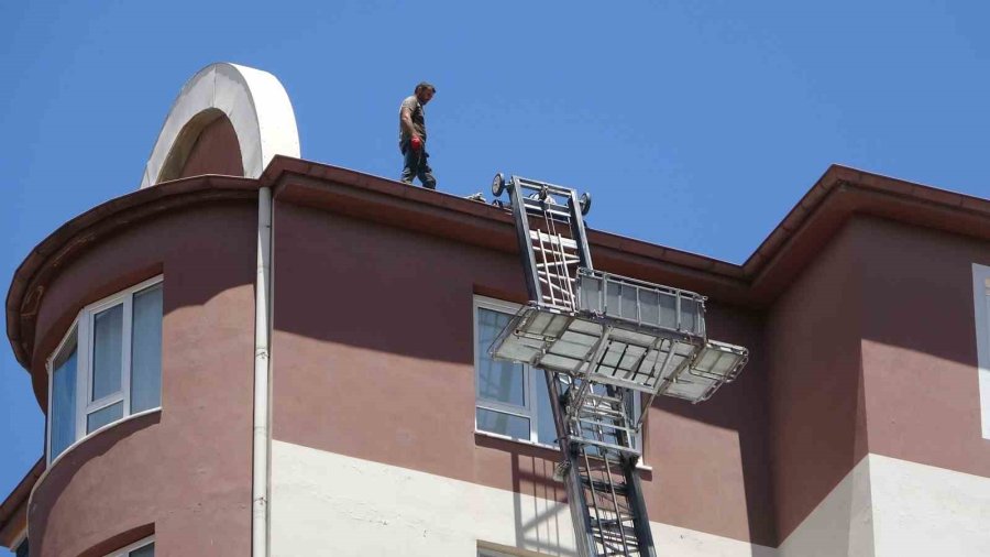 10. Katta Ölümle Dans