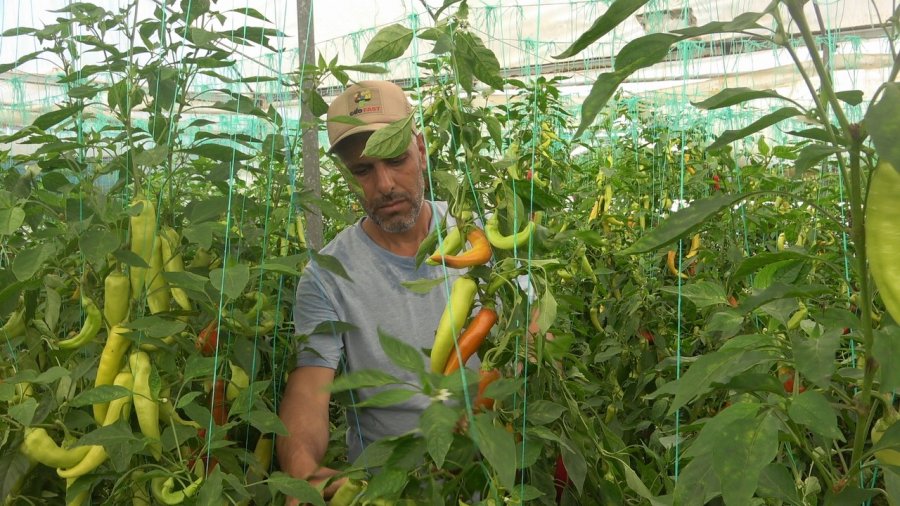 Serada Çalışan İşçiler Sıcakta Bunalıyor