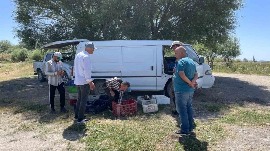 Beyşehir’de Profesyonel Ve Amatör Avlanma Sıkı Takipte