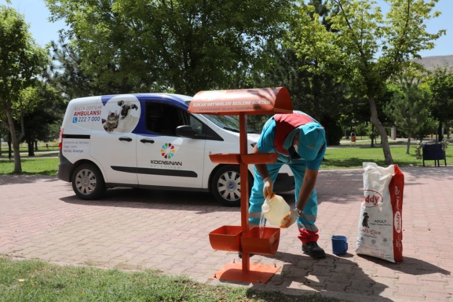 Kocasinan’da Küçük Dostlar İçin Büyük Hassasiyet