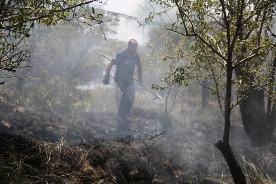 Havalar Isındı, Yangın Arttı