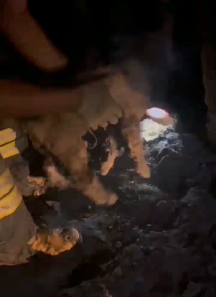 Ziftte Mahsur Kalan 2 Yavru Köpeği İtfaiye Kurtardı