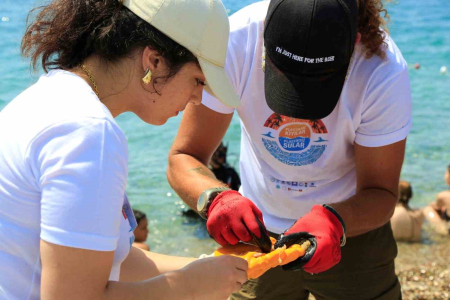 Dünyaca Ünlü Sahilden Günlük 60 Ton Atık Toplanıyor