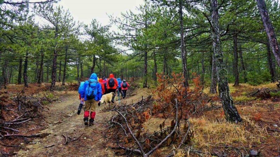 Ormanlık Alanlara Girişler Yasaklandı