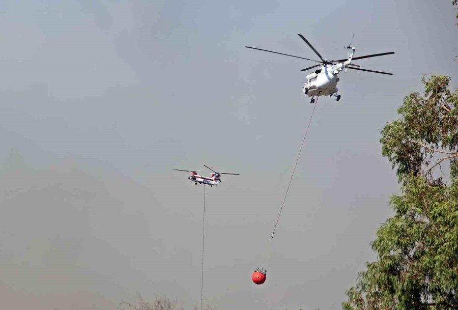 Antalya’daki Orman Yangını 4,5 Saatte Kontrol Altına Alındı