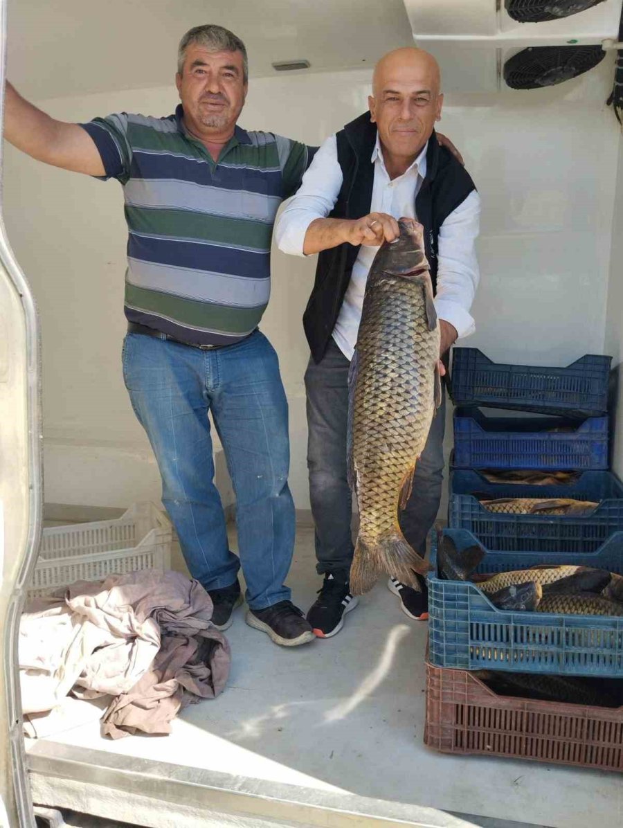 Beyşehir Gölü’nde Balıkçı Tekneleri Ve Balık İşleme Fabrikaları Denetlendi