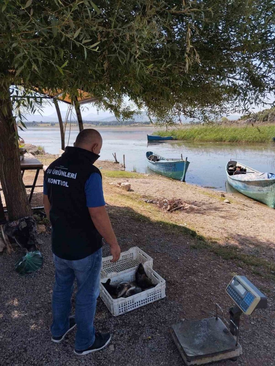Beyşehir Gölü’nde Balıkçı Tekneleri Ve Balık İşleme Fabrikaları Denetlendi