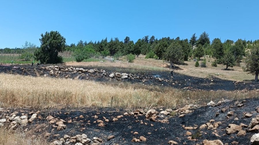 Mersin’de Orman Yangını, Büyümeden Söndürüldü