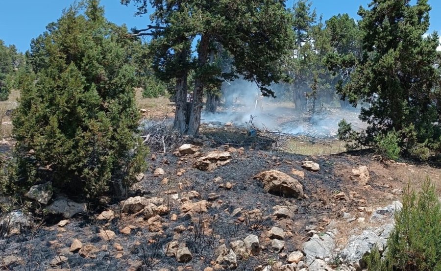 Mersin’de Orman Yangını, Büyümeden Söndürüldü