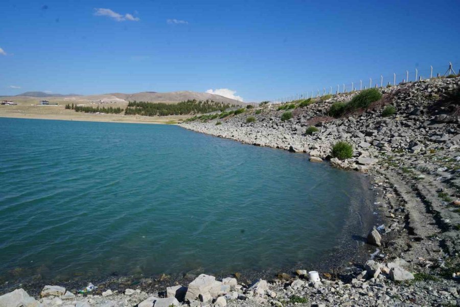Serinlemek İçin Girdiği Gölette Kayboldu