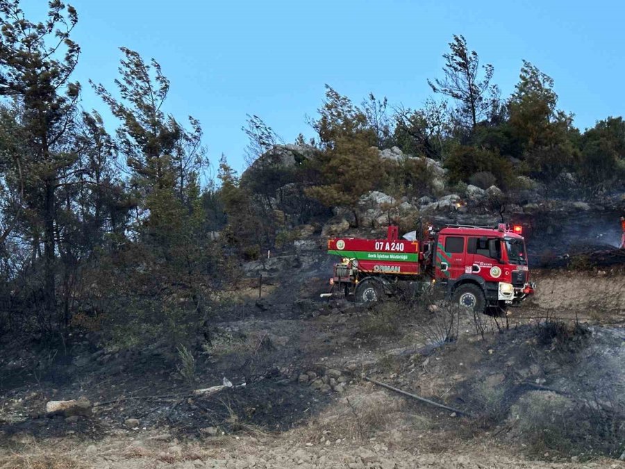 Serik’te Orman Yangını Kısa Sürede Söndürüldü