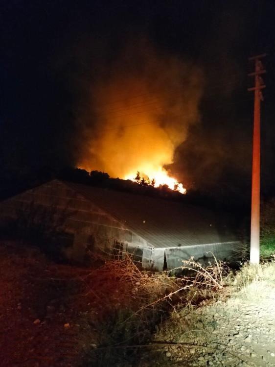 Serik’te Orman Yangını Kısa Sürede Söndürüldü