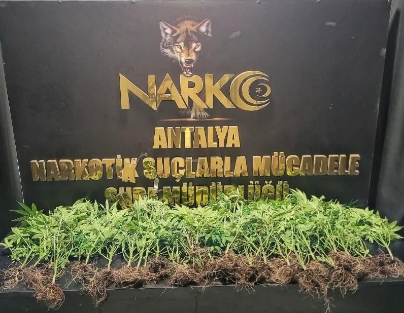 Antalya’da Zehir Tacirlerine Büyük Darbe: Kilolarca Uyuşturucu Madde Ele Geçirildi