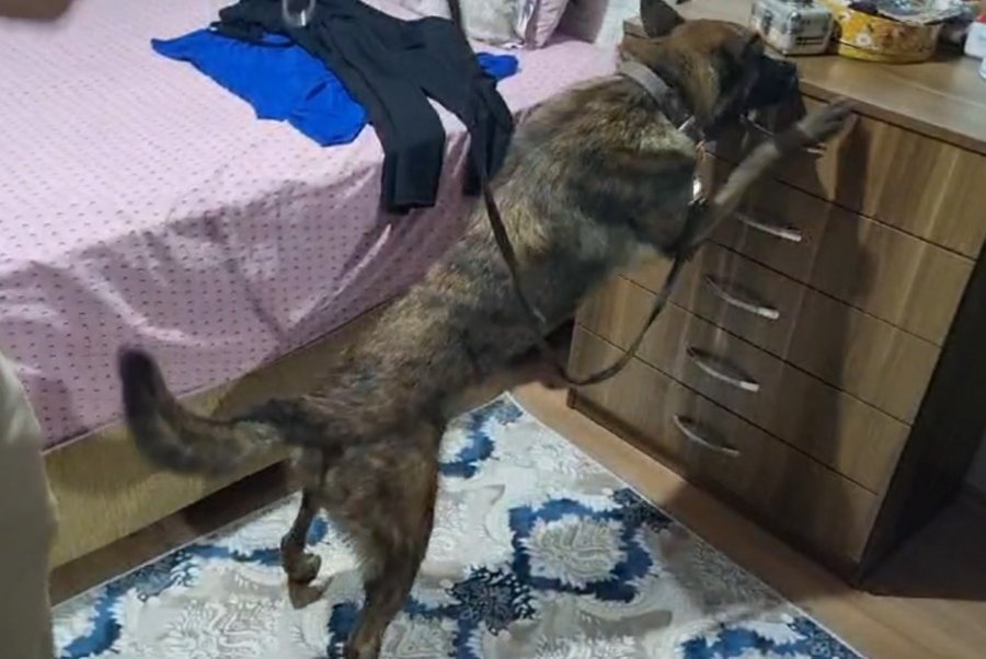 Antalya’da Zehir Tacirlerine Büyük Darbe: Kilolarca Uyuşturucu Madde Ele Geçirildi