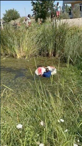 Jandarmadan Kaçmak İçin Bataklığa Saklandı, Kaçamadı