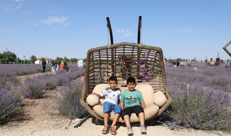 Karatay Lavanta Bahçesi Görsel Şölen Sunuyor