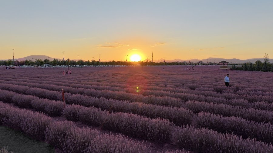 Karatay Lavanta Bahçesi Görsel Şölen Sunuyor