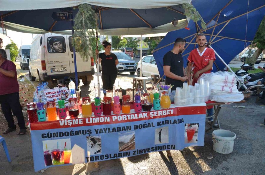Antalya’nın 2 Bin 300 Rakımından Getiriyorlar, Bardaklarla Satıp Sıcaktan Bunalanları Serinletiyorlar