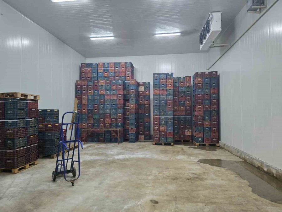 Mersin’de Limon Depolarında Denetimler Sürüyor