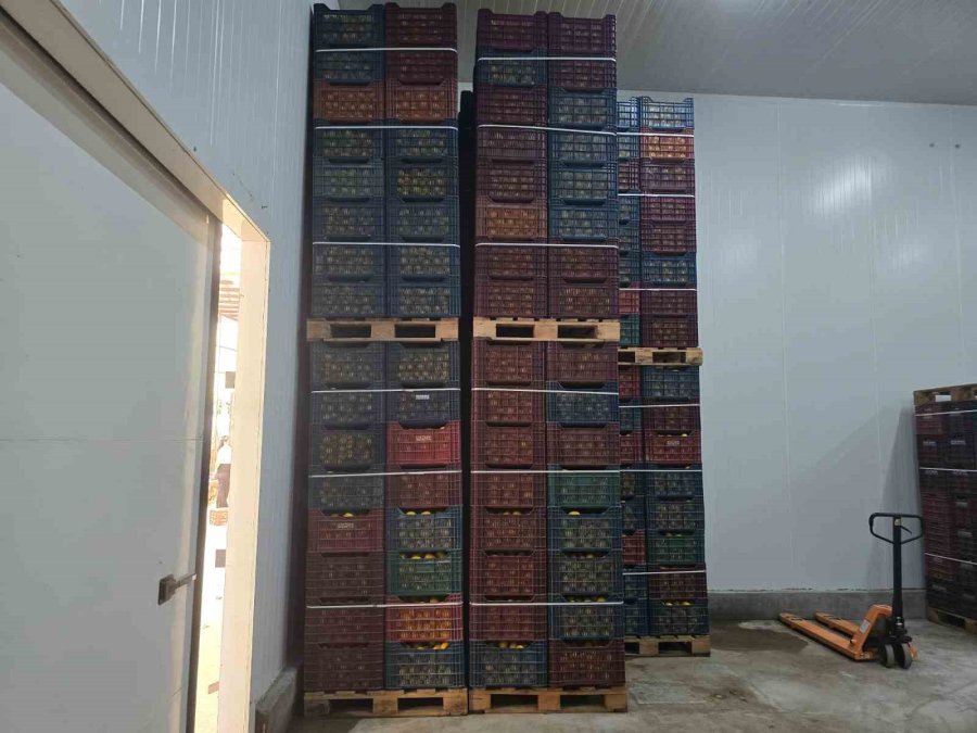 Mersin’de Limon Depolarında Denetimler Sürüyor