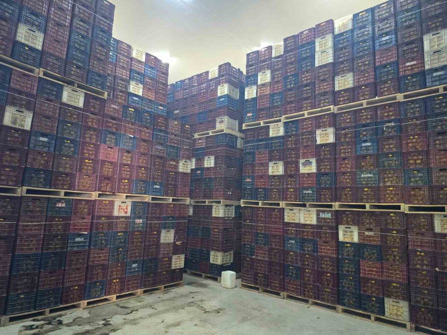 Mersin’de Limon Depolarında Denetimler Sürüyor