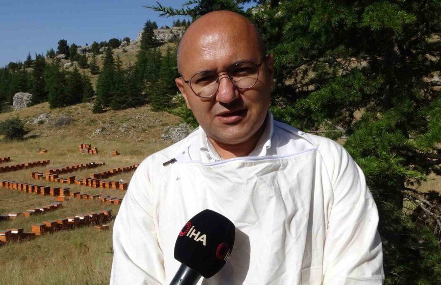 Sağım Başladı: Şifa Deposu Sedir Balı Arıcıların Yüzünü Güldürdü