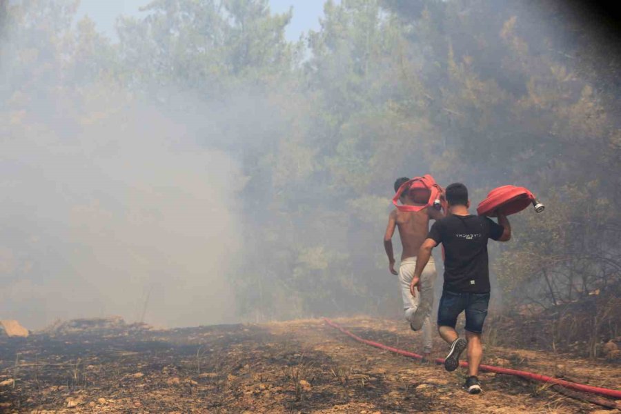 Antalya’da Çıkan Orman Yangınında Seralar Büyük Zarar Gördü