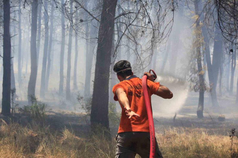 Antalya’da Çıkan Orman Yangınında Seralar Büyük Zarar Gördü