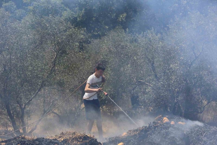 Antalya’da Çıkan Orman Yangınında Seralar Büyük Zarar Gördü