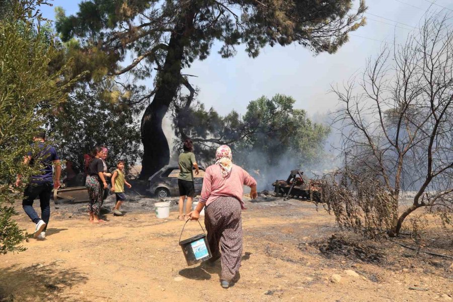Antalya’da Çıkan Orman Yangınında Seralar Büyük Zarar Gördü