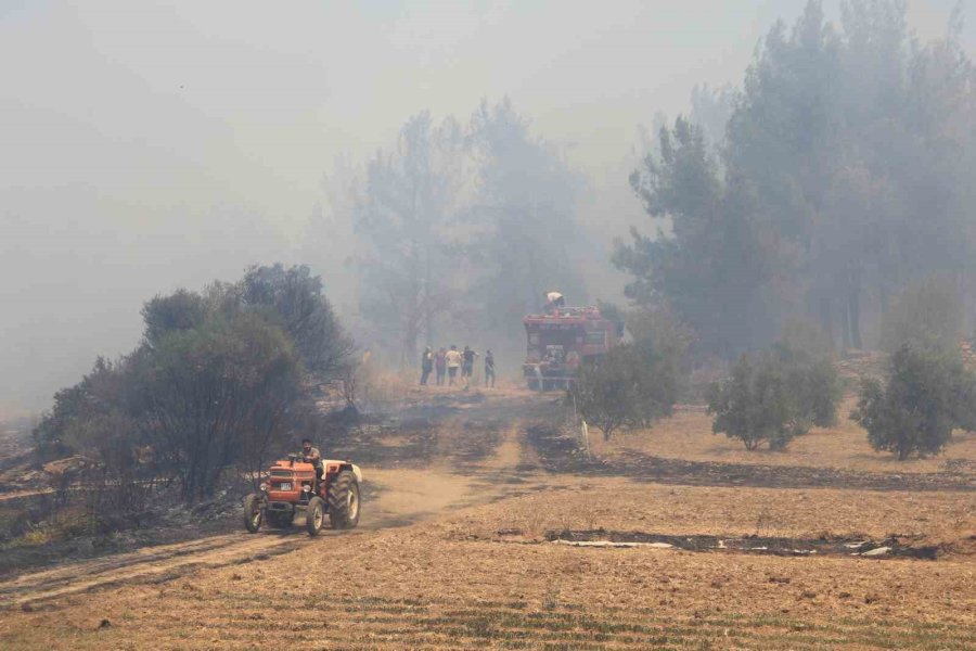 Antalya’da Çıkan Orman Yangınında Seralar Büyük Zarar Gördü