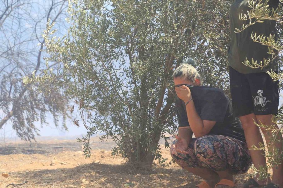 Antalya’da Çıkan Orman Yangınında Seralar Büyük Zarar Gördü