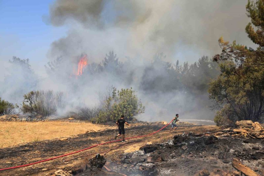 Antalya’da Çıkan Orman Yangınında Seralar Büyük Zarar Gördü