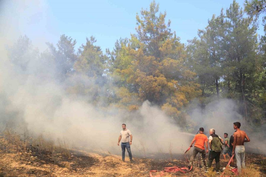Antalya’da Çıkan Orman Yangınında Seralar Büyük Zarar Gördü