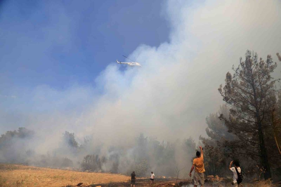 Antalya’da Çıkan Orman Yangınında Seralar Büyük Zarar Gördü