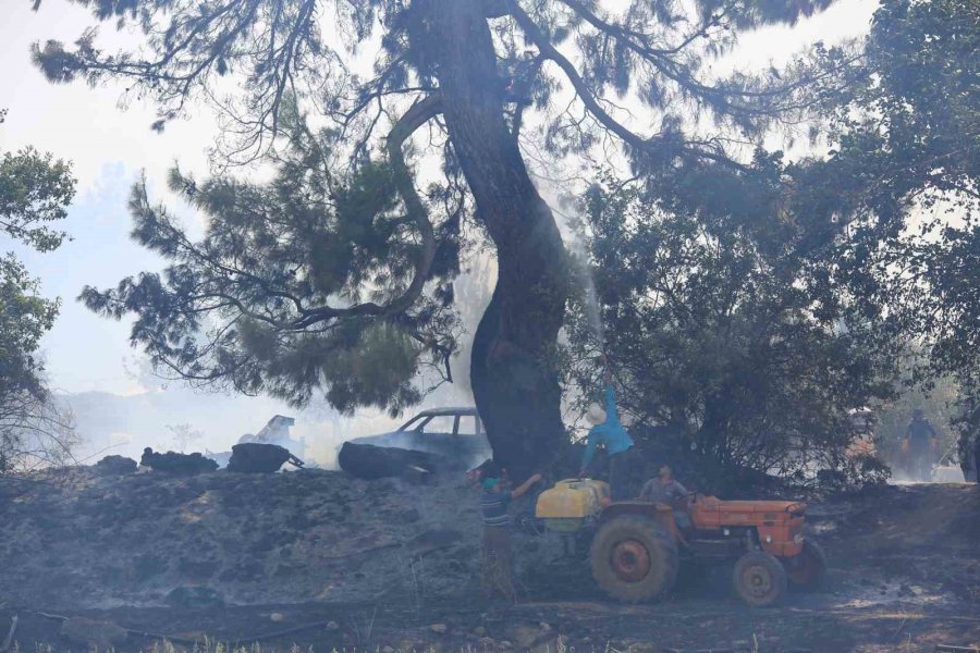 Antalya’da Çıkan Orman Yangınında Seralar Büyük Zarar Gördü