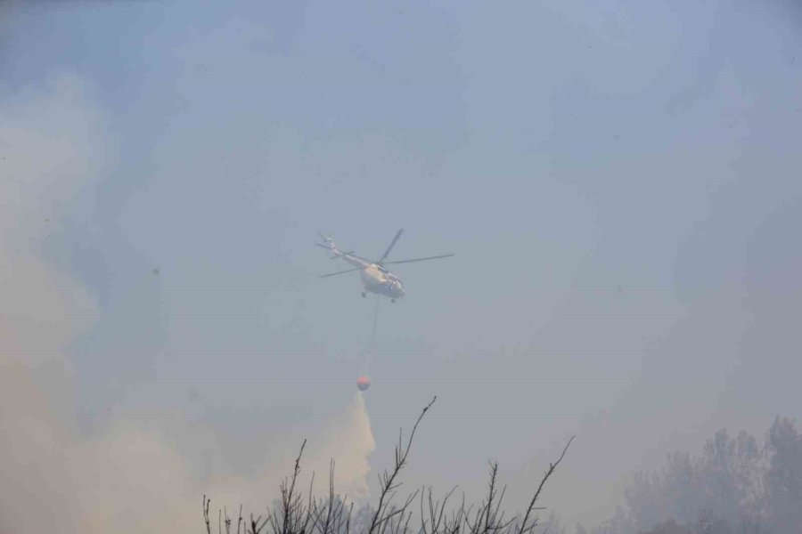 Antalya’da Çıkan Orman Yangınında Seralar Büyük Zarar Gördü