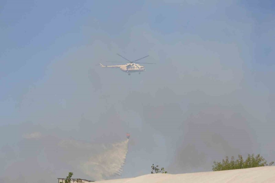 Antalya’da Çıkan Orman Yangınında Seralar Büyük Zarar Gördü