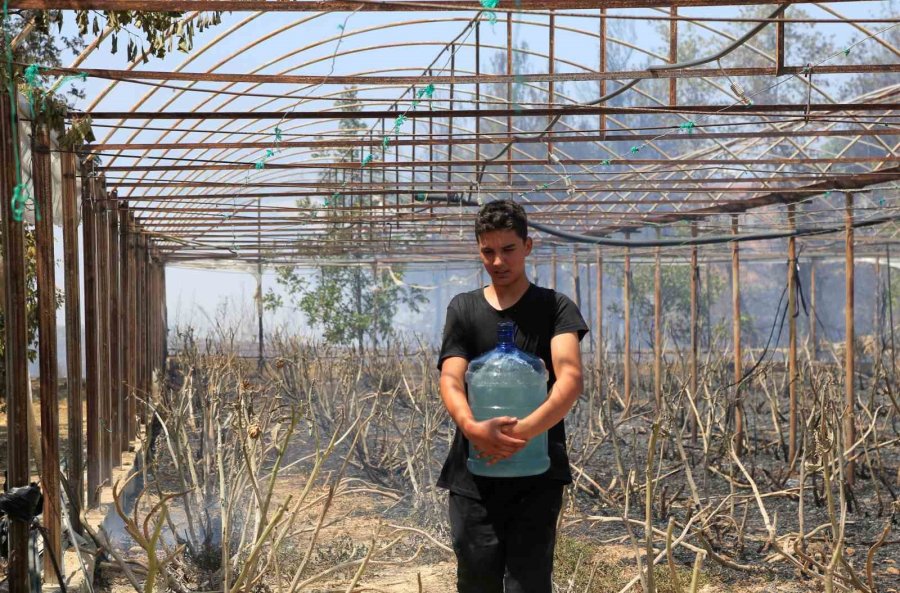 Antalya’da Çıkan Orman Yangınında Seralar Büyük Zarar Gördü