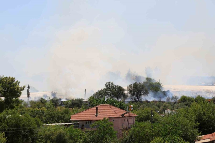 Antalya’da Çıkan Orman Yangınında Seralar Büyük Zarar Gördü