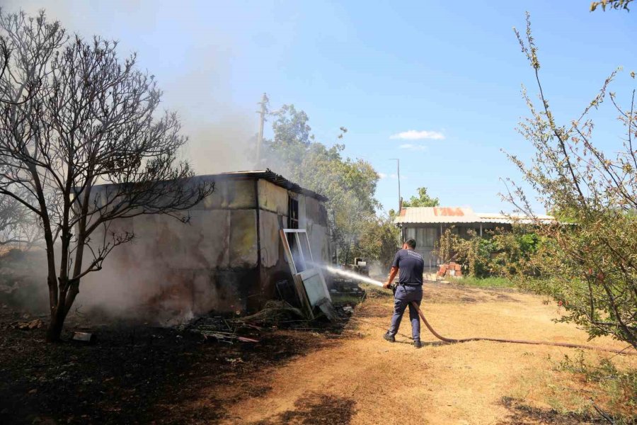 Antalya’da Çıkan Orman Yangınında Seralar Büyük Zarar Gördü