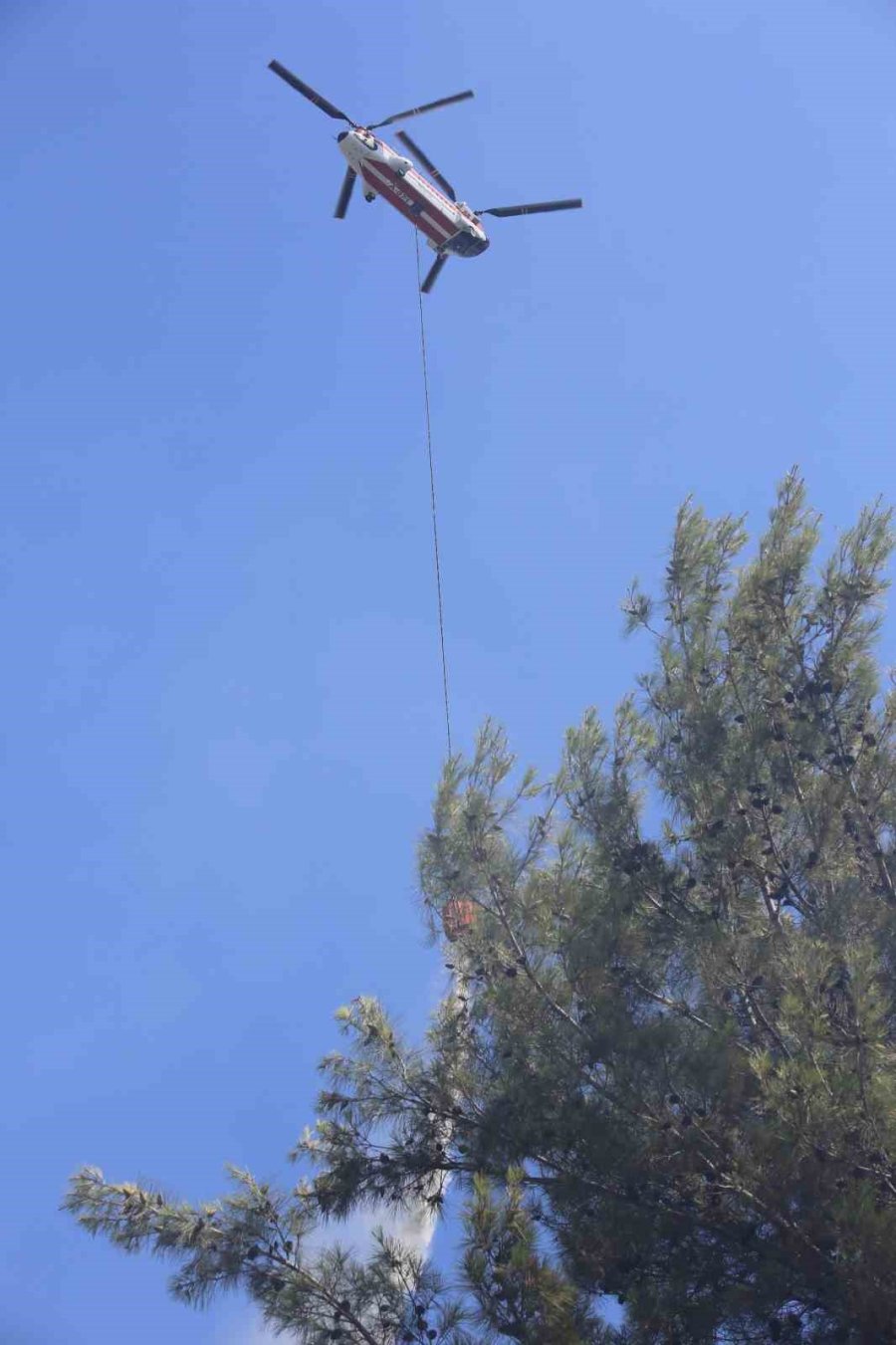 Antalya’da Çıkan Orman Yangınında Seralar Büyük Zarar Gördü