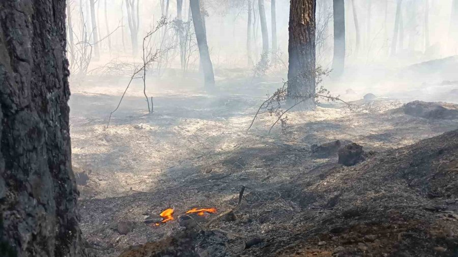 Antalya’da Orman Dışı Otluk Alanda Yangın
