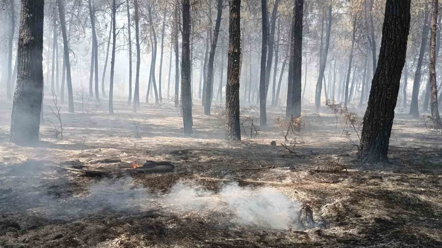 Antalya’da Orman Dışı Otluk Alanda Yangın