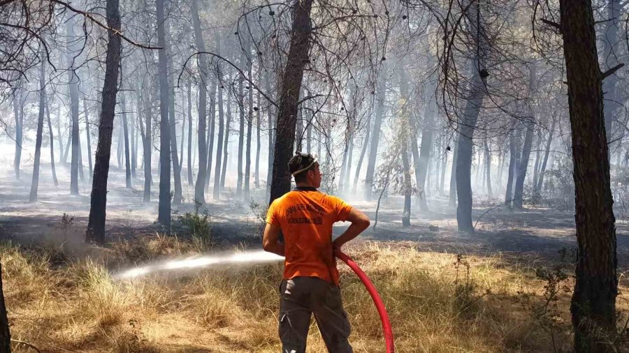 Antalya’da Orman Dışı Otluk Alanda Yangın