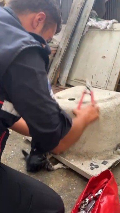 Kafası Küvete Sıkışan Kediyi İtfaiye Kurtardı